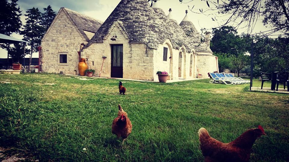 B&B Masseria Nardelli 로코로톤도 외부 사진
